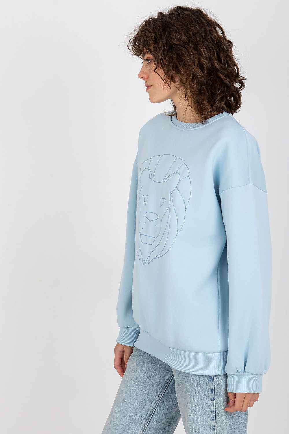 Sweatshirt Ex Moda
