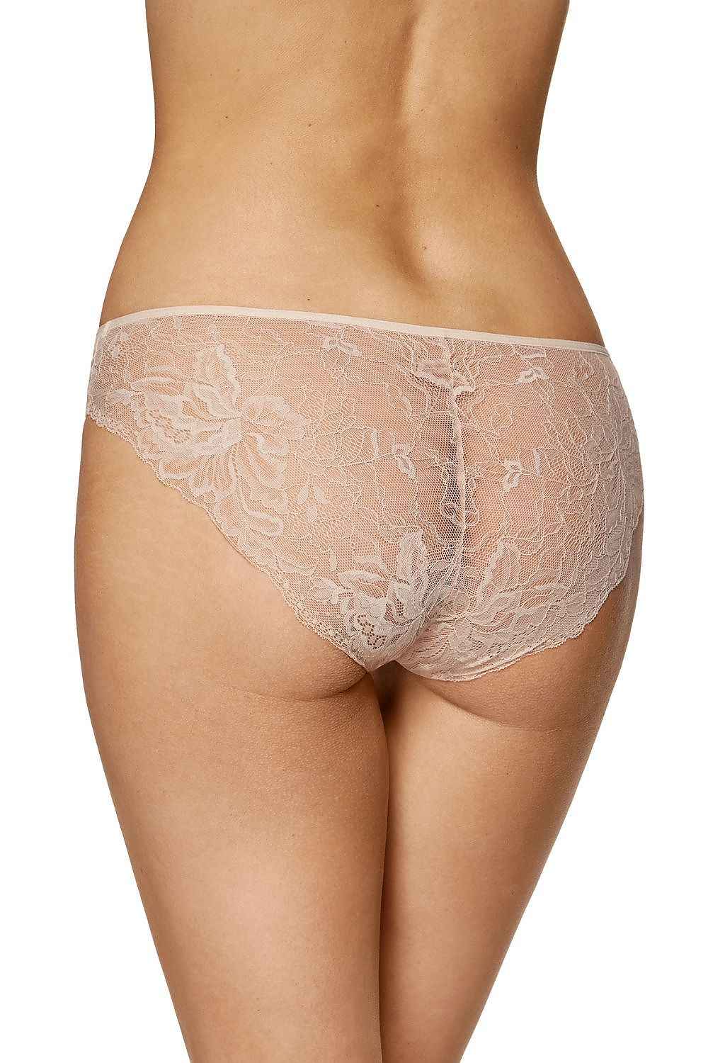 L`ensemble Gorteks