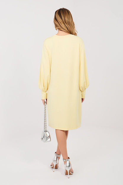  Robe de jour model 224977 Rue Paris 