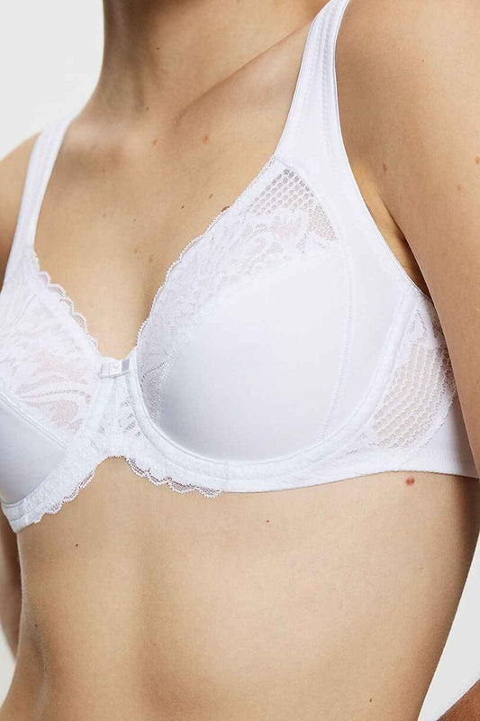 Soft Triumph